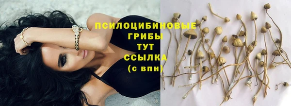 бутират Алзамай