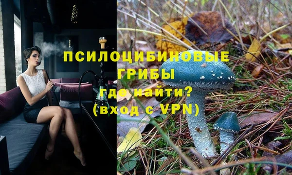 бутират Алзамай