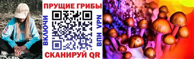Псилоцибиновые грибы ЛСД  Купить закладки  Барыш 
